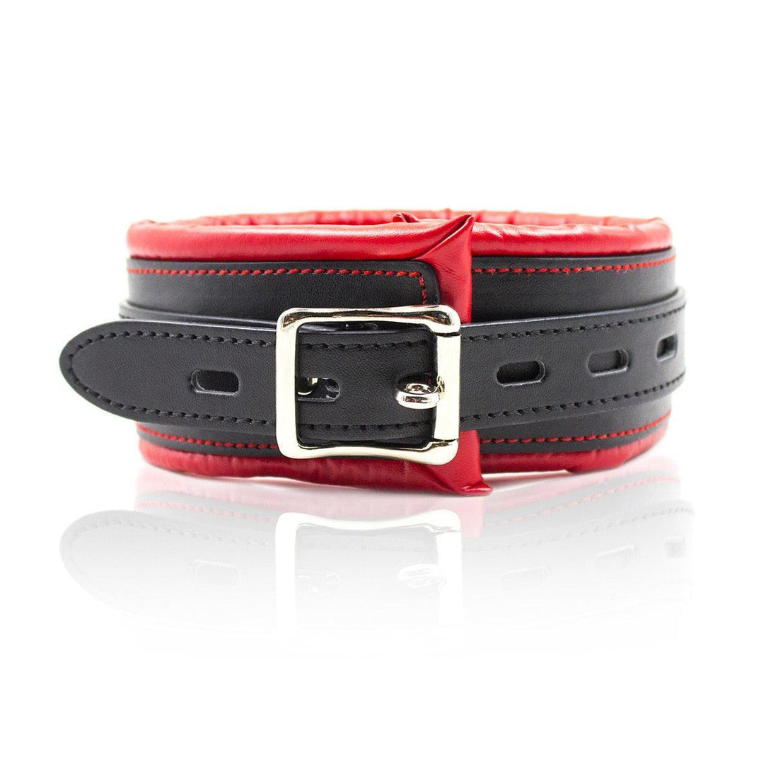 Sponge Collars With Leash - LUSTLOVER